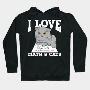 I Love Math And Cats Hoodie